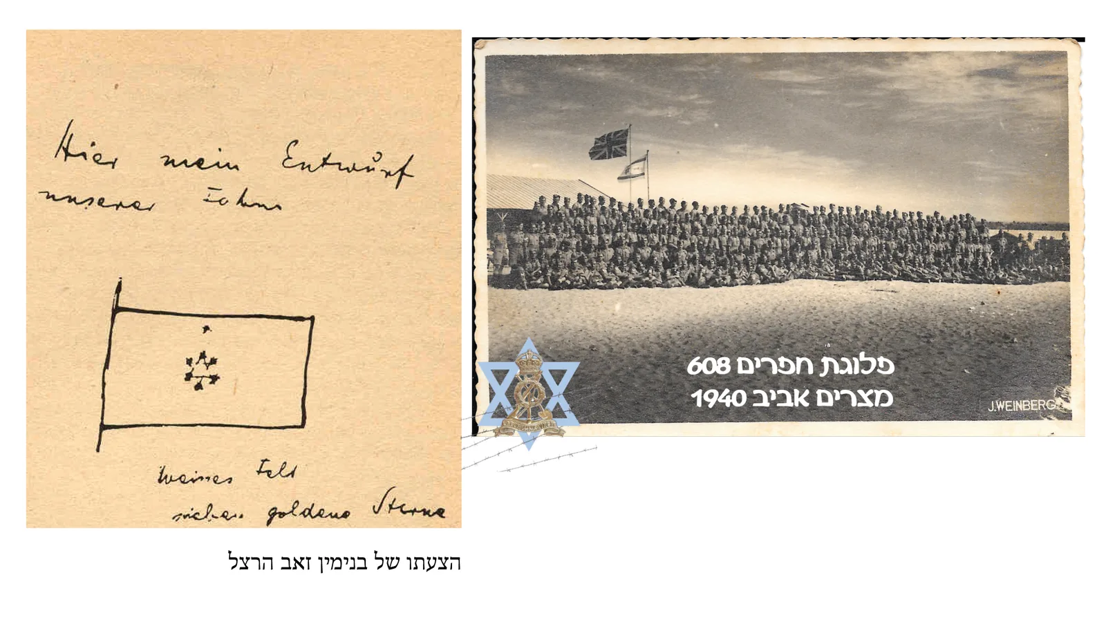 israel - עבודת מיתוג - almogdvir